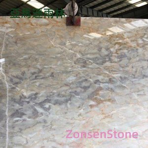 Amazon rainforest