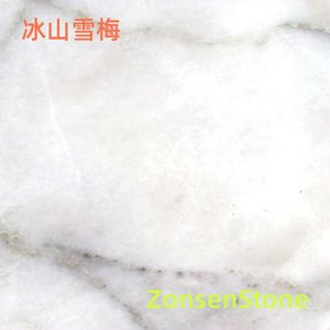 Iceberg Snow Plum