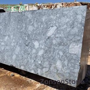 Primitive Grey