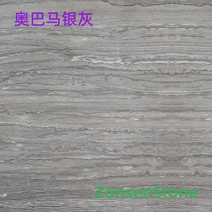 Obama Silver Gray