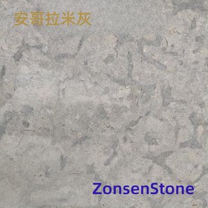Angolan Grey