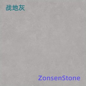 Battlefield Gray