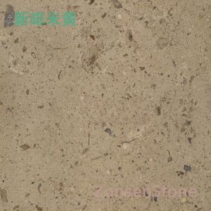 New Coffee Beige