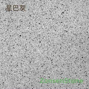 Starbucks Grey