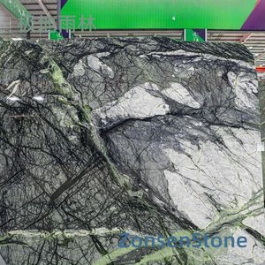 polar rainforest