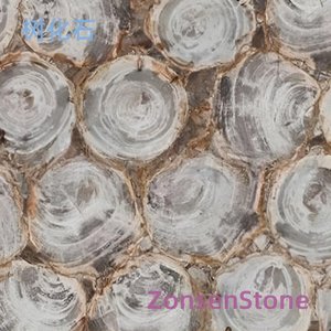 Petrified wood