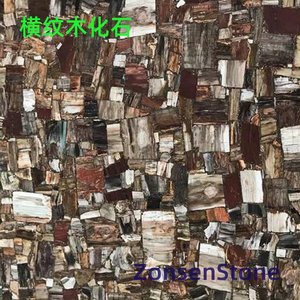 Petrified wood with horizontal stripes