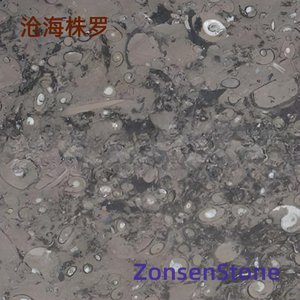 Canghai Zhuluo