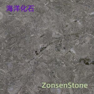 Marine fossils