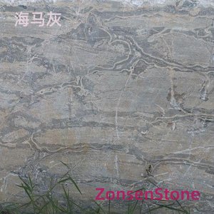 Seahorse Grey