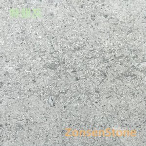 Trump Grey