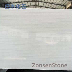 White wood fossil