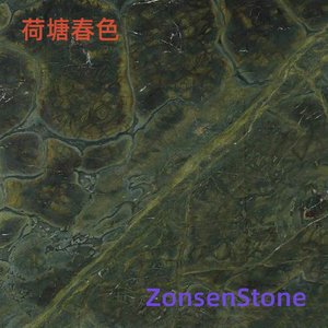 Springtime Scenery of Lotus Pond
