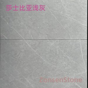Shakespeare in light gray