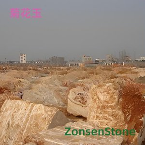 Chrysanthemum Jade
