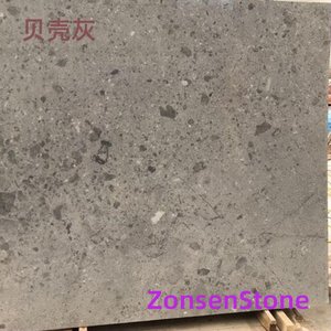 shell gray