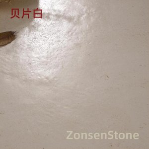 White shell