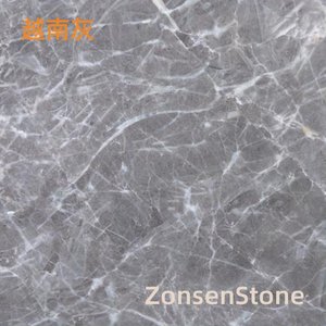 Vietnamese Grey
