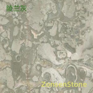 陵兰灰