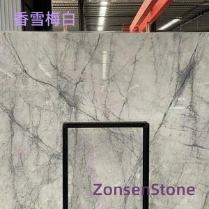 Fragrant Snow Plum White