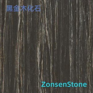 Black Gold Wood Petrified