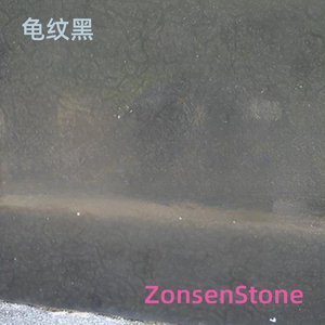 Tortoise shell black