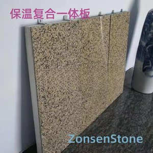 Insulation composite integrated panel