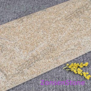 Embossed wall cultured stone