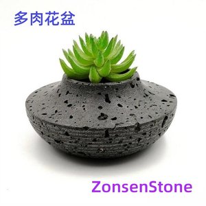 Succulent flower pots