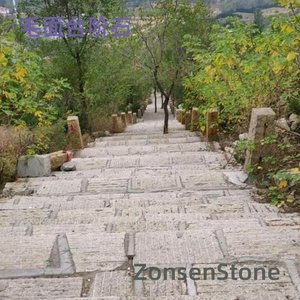Rough-faced step stones