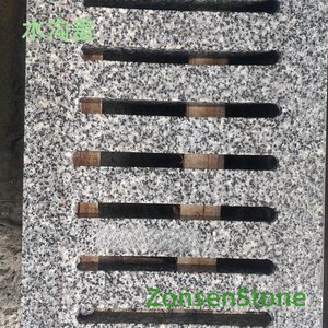 Drain cover