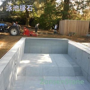 Pool Edge Stone