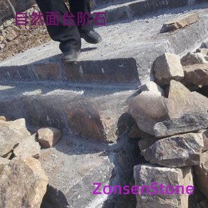 Natural surface steps
