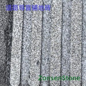 Road guide paving bricks