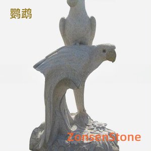 Parrot