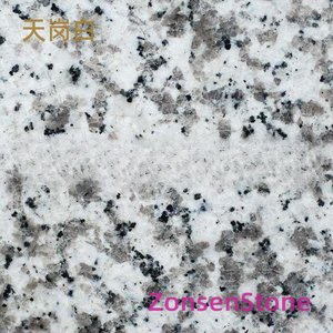 天岗白
