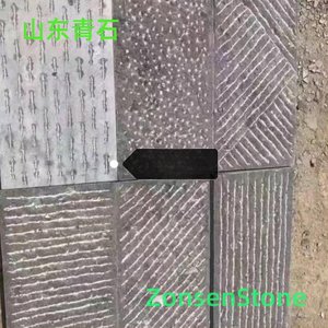 Shandong Qingshi
