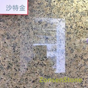 沙特金