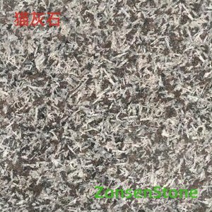 Cat Grey Stone