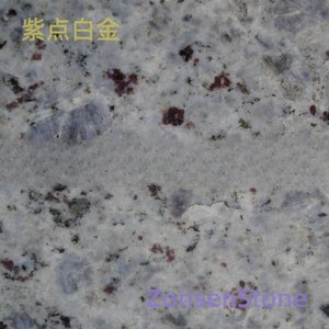 紫点白金