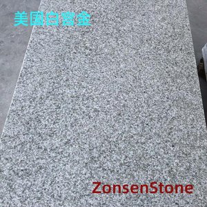 美国白宫金