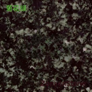 菊花绿