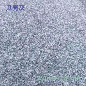 shell gray