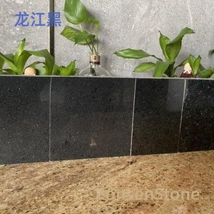 Longjiang Black