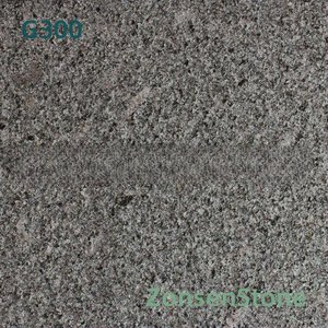 G300