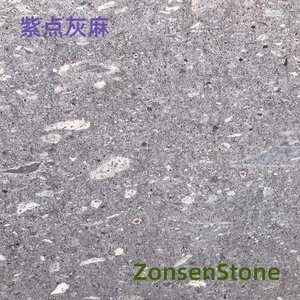 Purple-spotted gray hemp