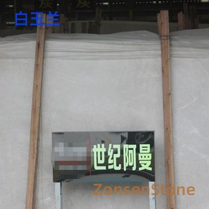 白玉兰