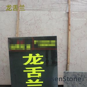 龙舌兰