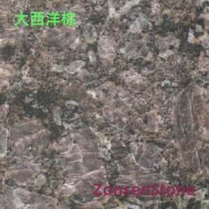 大西洋棕
