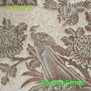 Chrysanthemums defy the frost